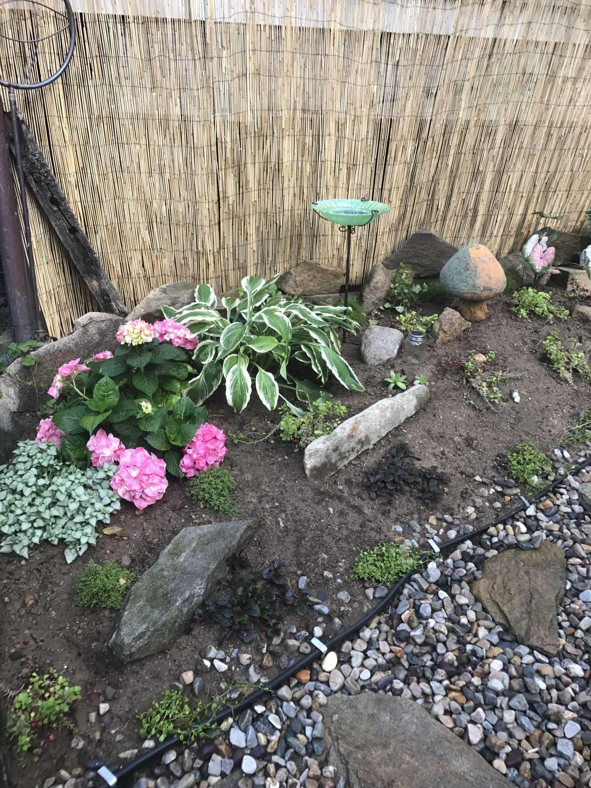 Our stone walkway